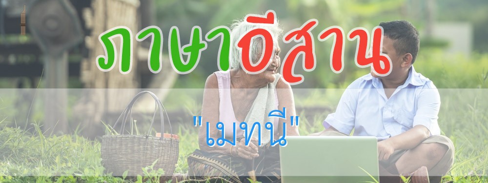 เมทนี