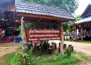 หมู่บ้านท่องเที่ยวเชิงวัฒนธรรมผู้ไทยโคกโก่งโฮมสเตย์