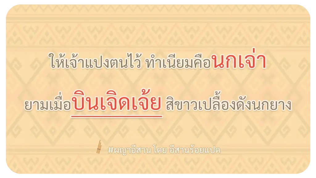 ผญา บินเจิดเจ้ย