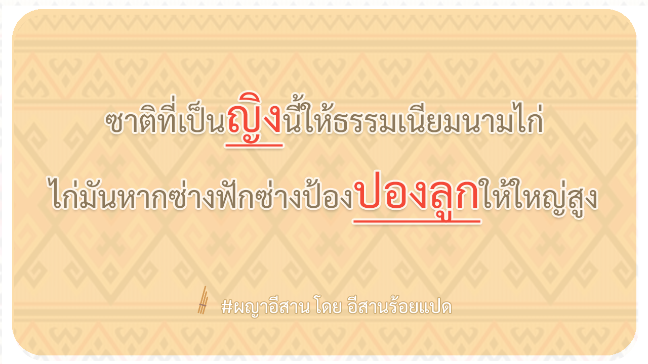 ผญา-ซาติที่เป็นญิงนี้ให้ธรรมเนียมนามไก่