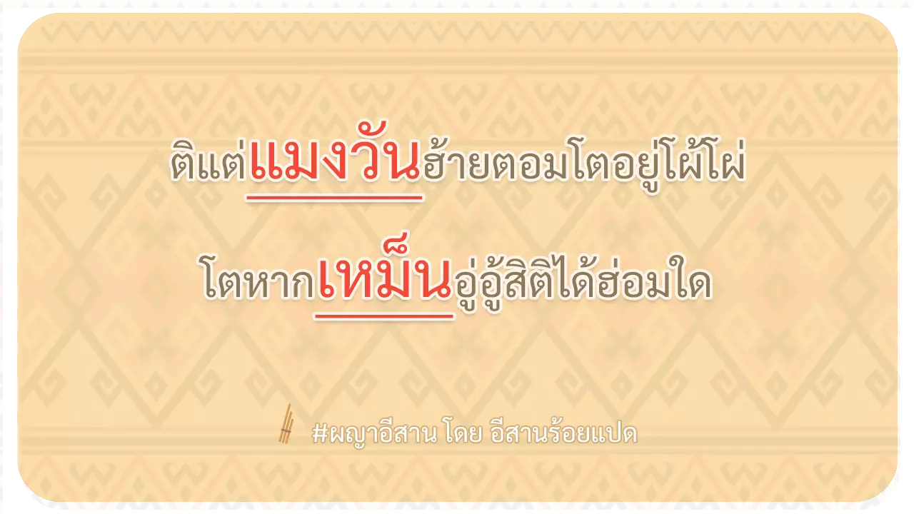 ผญา-ติแต่แมงวันฮ้ายตอมโตอยู่โผ้โผ่