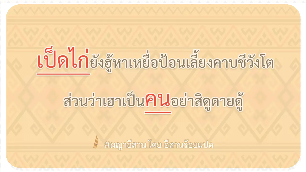 ผญา-เป็ดไก่ยังฮู้หาเหยื่อป้อนเลี้ยงคาบชีวังโต