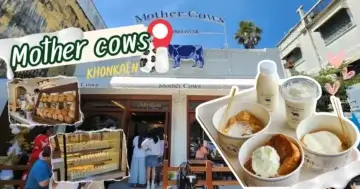 “Mother cows” ร้านนมวัวแท้เจ้าดังจากหาดใหญ่ บุกมาเปิดขอนแก่นแล้ว! @khonkaen