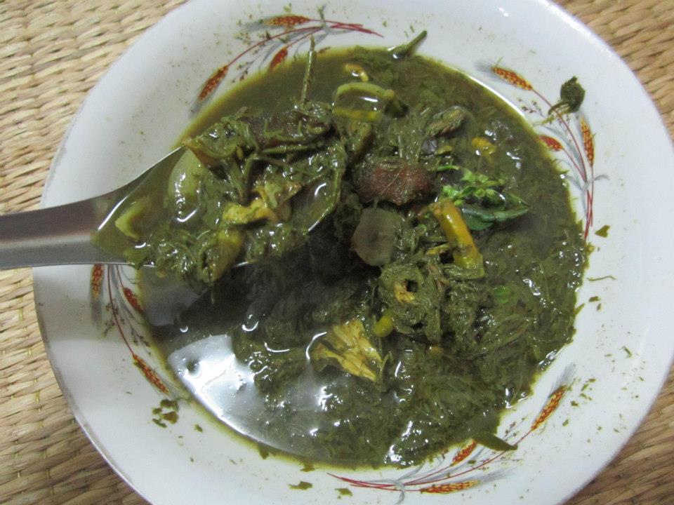 แกงขี้เหล็ก