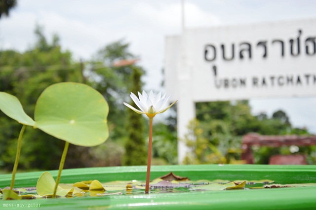 คำขวัญจังหวัดอุบลราชธานี