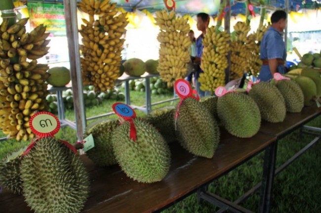 ของดีเมืองศรีสะเกษ