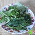 ผัก สำหรับอ่อมหอย