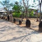 บริเวณวัด วัดโพธิ์ชัยเสมาราม