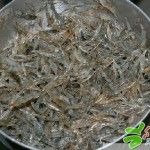 เลี้ยงกุ้งฝอย เพื่อการค้า