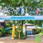 เวทีการแสดงงูจงอาง