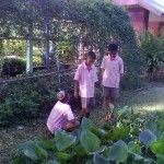 โครงงานการเลี้ยงปลาดุก