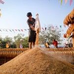 บุญบายศรีสู่ขวัญข้าวคูณลาน