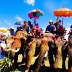 หมู่บ้านช้าง