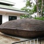 อาคาร สถานที่ หอยหิน