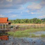 หนองขุหลุ