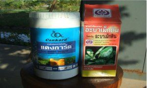 ยาป้องกันโรคและศัตรูของมะนาว