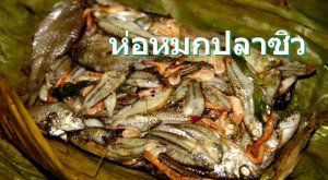 ห่อหมกปลาซิว