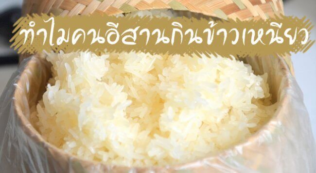 ทำไมคนอีสาานกินข้าวเหนียว