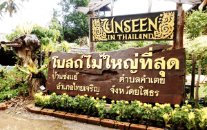 โบสถ์ไม้ใหญ่ที่สุด