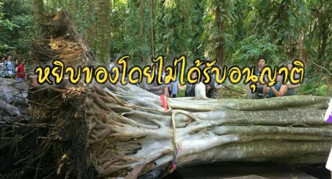 หยิบของโดยไม่ได้รับอนุญาติ