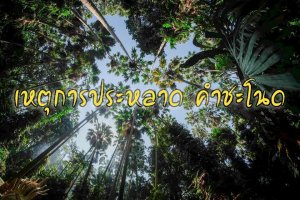 เหตุการณ์ประหลาด-คำชะโนด