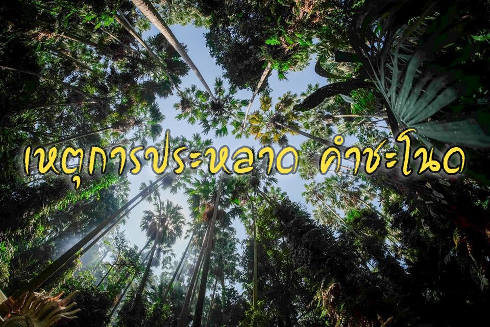 เหตุการณ์ประหลาด-คำชะโนด