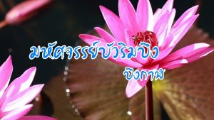 ภาพประจำบทความ มหัศจรรย์บัวริมบึง บึงกาฬ