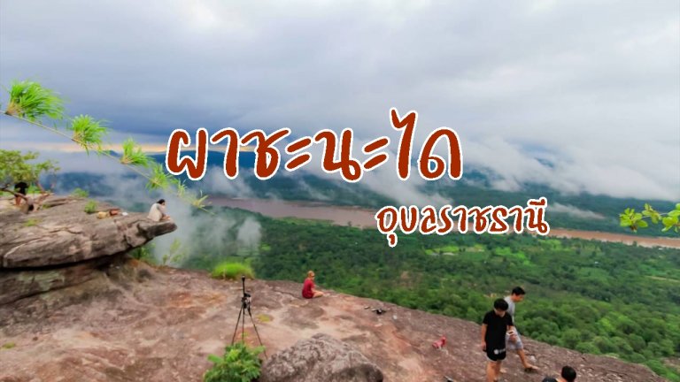 รูปภาพประจำบทความ ผาชะนะได