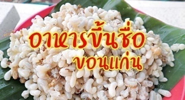 อาหารขึ้นชื่อ ขอนแก่น