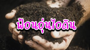 ฟ้อนอุ่นไอดิน