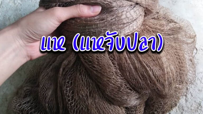 แห (แหจับปลา)