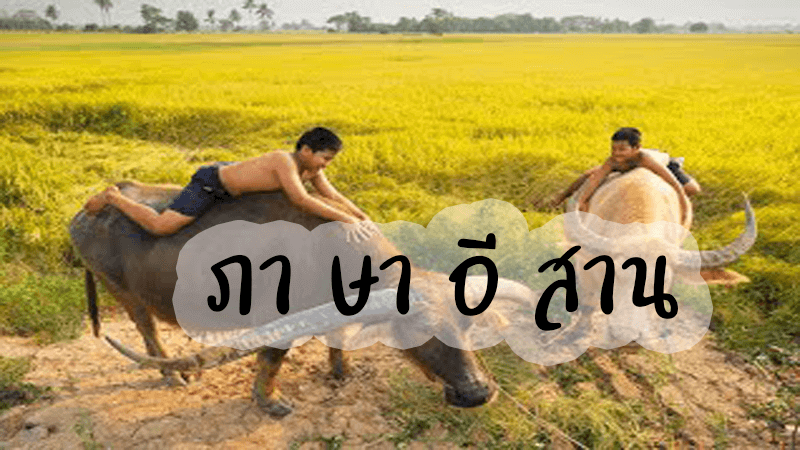 ภาษาอีสาน