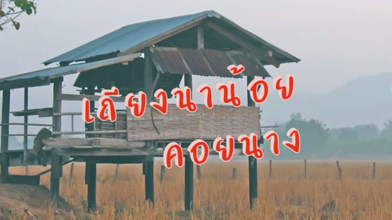 เถียงนาน้อย คอยนาง