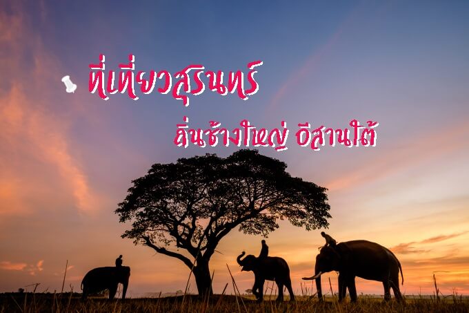 รูปภาพประจำบทความที่เที่ยวสุรินทร์