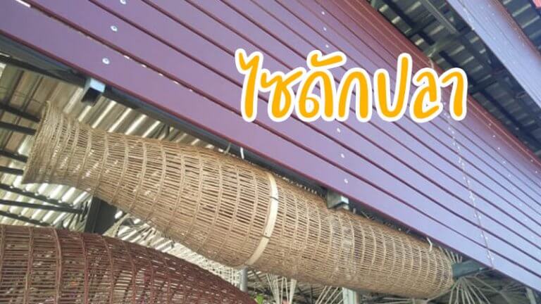 ไซดักปลา