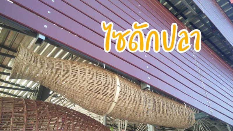 ไซดักปลา