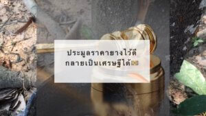 ประมูลราคายางไว้ดี กลายเป็นเศรษฐีได้?