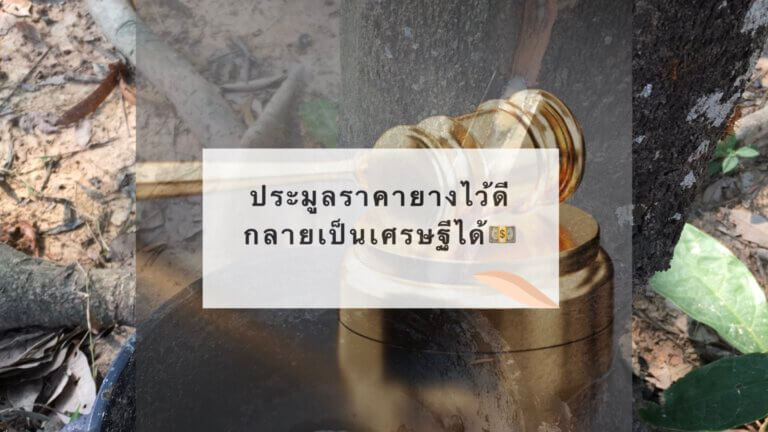 ประมูลราคายางไว้ดี กลายเป็นเศรษฐีได้?