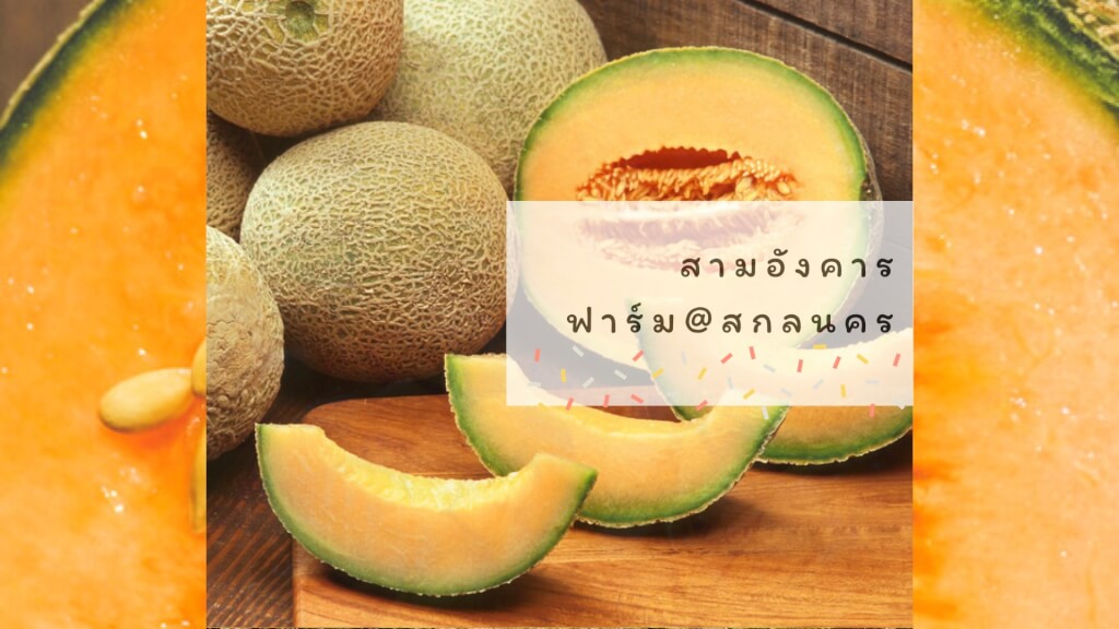 สามอังคารฟาร์ม