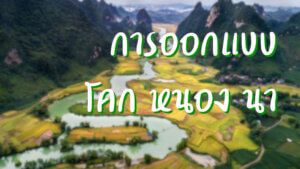 การออกแบบ โคก หนอง นา