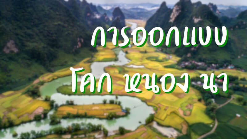 การออกแบบ โคก หนอง นา