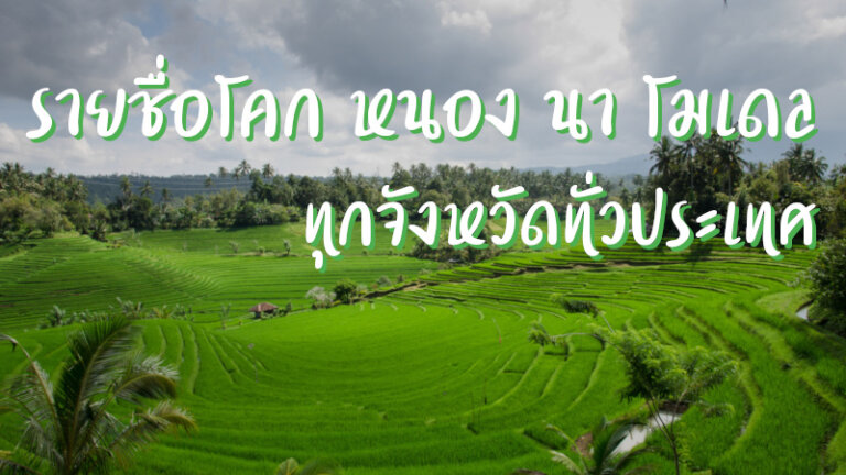 รายชื่อ โคก หนอง นา โมเดล ทุกจังหวัดทั่วประเทศ