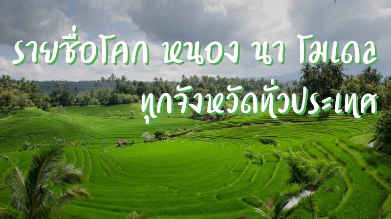 รายชื่อ โคก หนอง นา โมเดล ทุกจังหวัดทั่วประเทศ