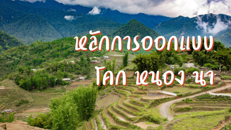 หลักการออกแบบ โคก หนอง นา