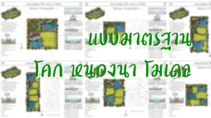 แบบมาตรฐาน โคก หนอง นา โมเดล