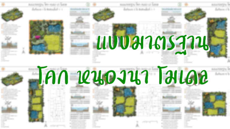 แบบมาตรฐาน โคก หนอง นา โมเดล
