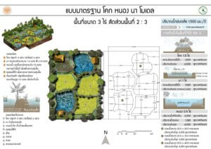 แบบมาตรฐาน โคก หนอง นา โมเดล พื้นที่ขนาด 3 ไร่ สัดส่วนพื้นที่ 2:3