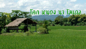 โคก หนอง นา โมเดล