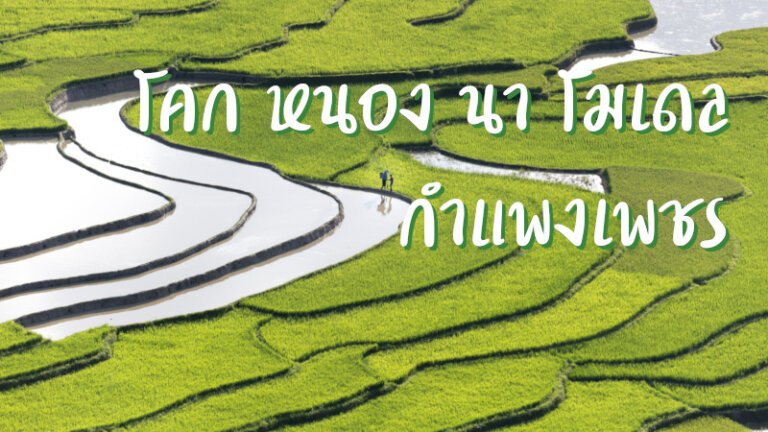 โคก หนอง นา โมเดล กำแพงเพชร