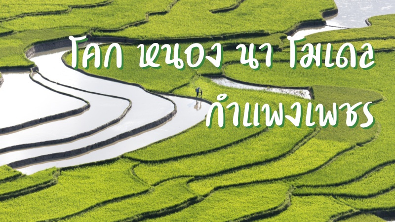 โคก หนอง นา โมเดล กำแพงเพชร